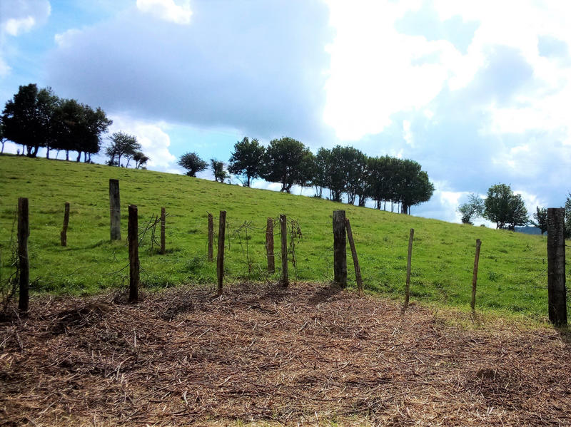 Maison - 92 m² - 3 pièces