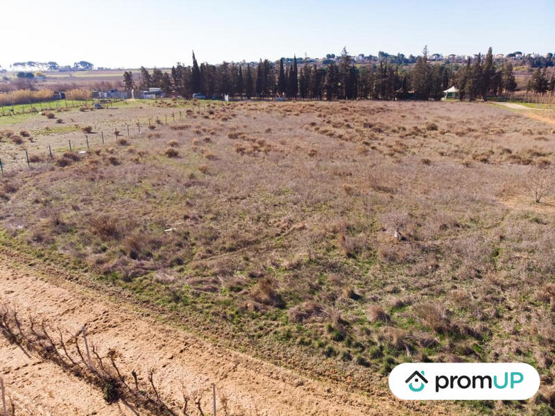 Terrain agricole - 3 200 m²