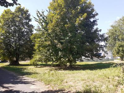 Terrain constructible - 1 100 m²