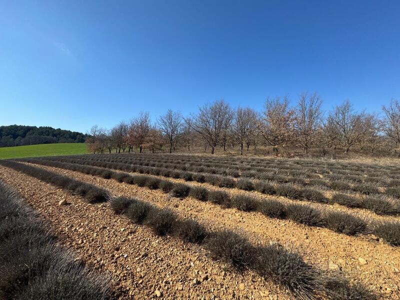 Terrain constructible - 754 m²