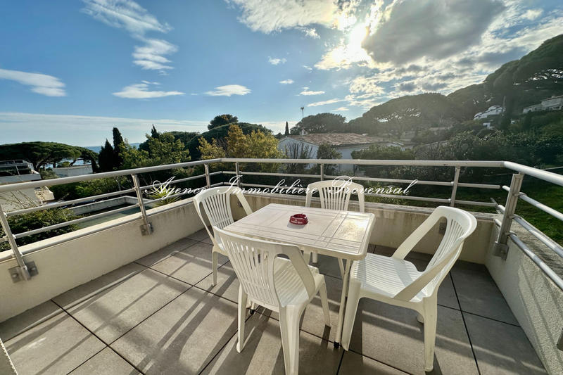 Appartement - 28 m² - 1 pièce