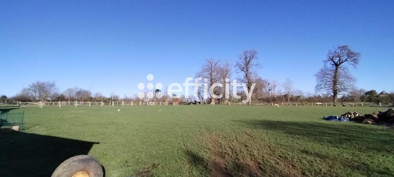 Maison - 210 m² - 7 pièces