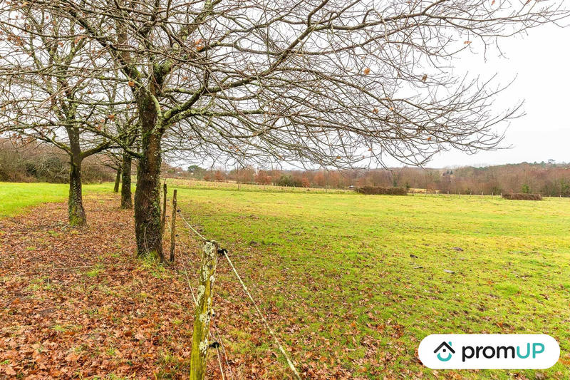 Terrain agricole - 50 040 m²