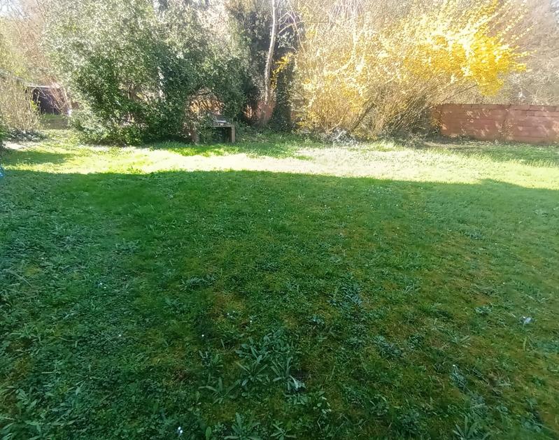 Maison - 290 m² - 14 pièces