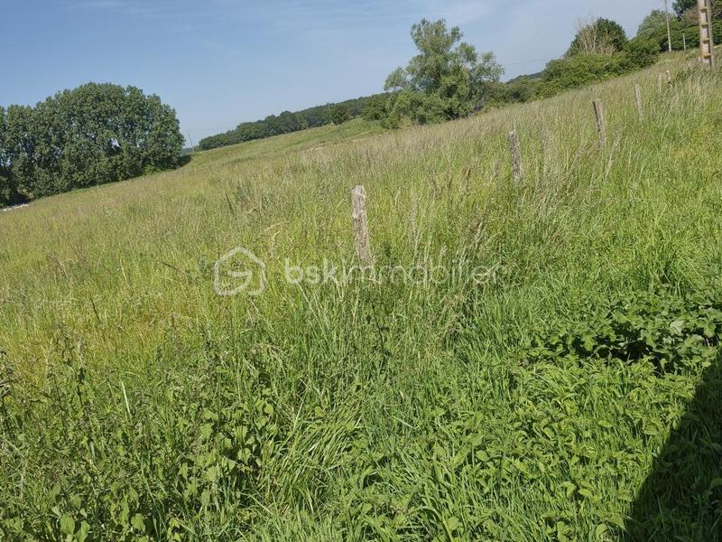 Longère - 214 m² - 6 pièces