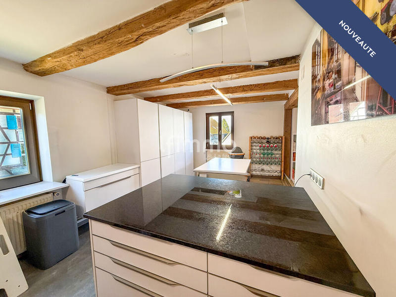 Maison - 283 m² - 7 pièces