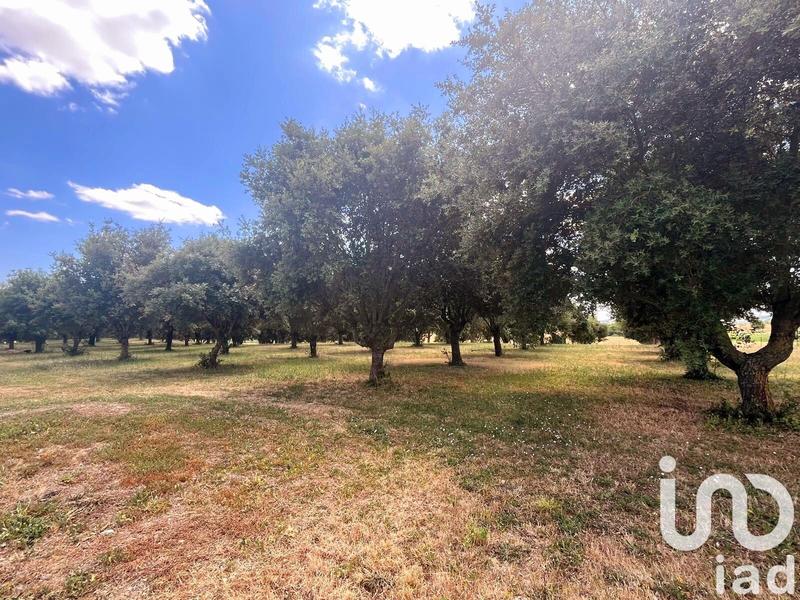 Ferme - 320 m² - 7 pièces