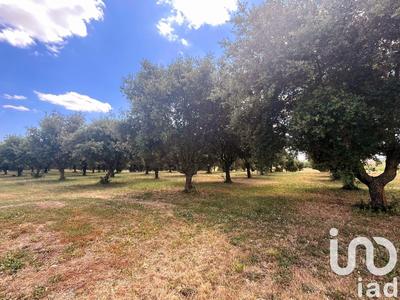 Ferme - 320 m² - 7 pièces