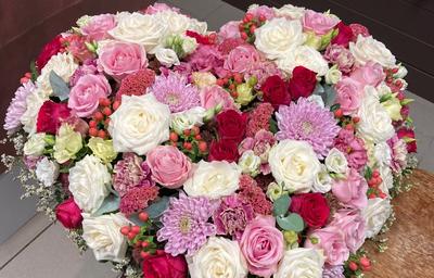 Histoires Naturelles