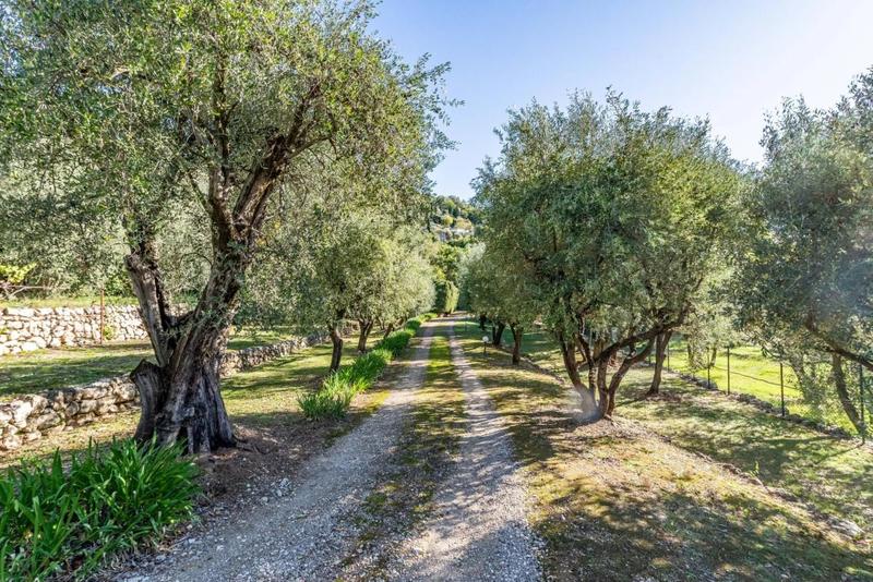 Propriété - 310 m² - 6 pièces