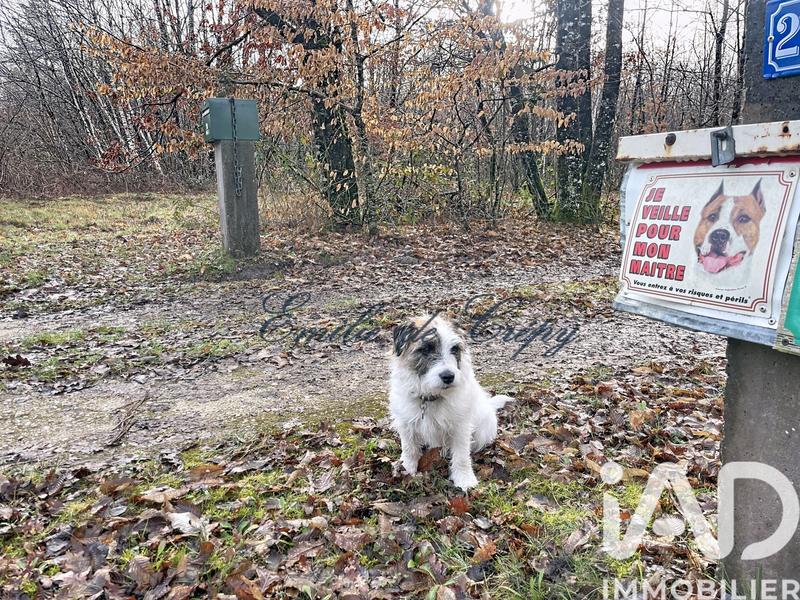 Maison - 280 m² - 10 pièces