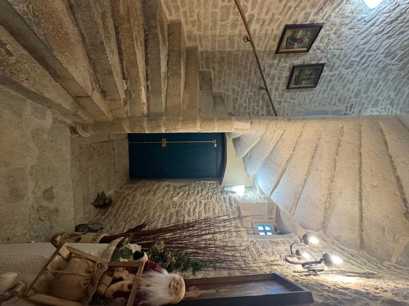 Maison de ville - 490 m² - 12 pièces