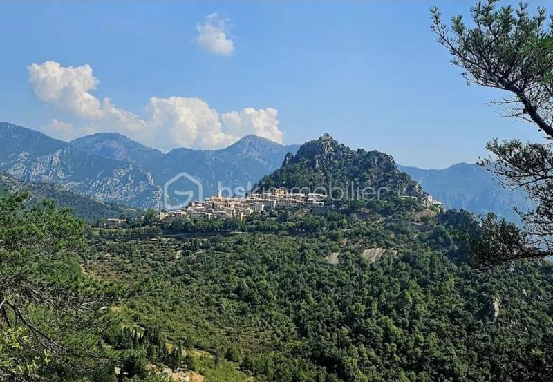 Immeuble - 500 m² - 12 pièces