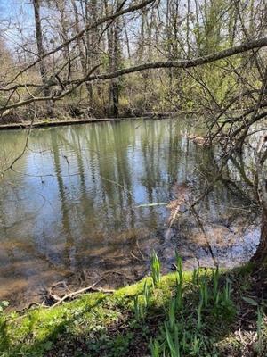 Maison de campagne - 137 m² - 4 pièces