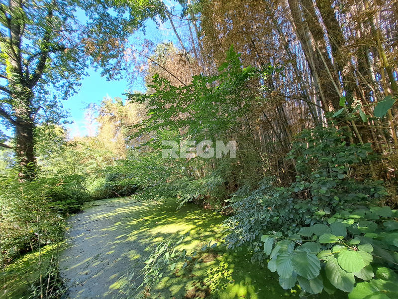 Maison - 172 m² - 8 pièces