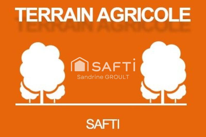 Terrain agricole - 7 477 m²