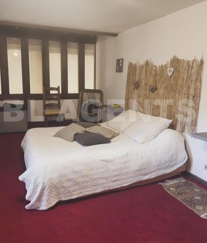 Maison de domaine équestre - 220 m² - 9 pièces