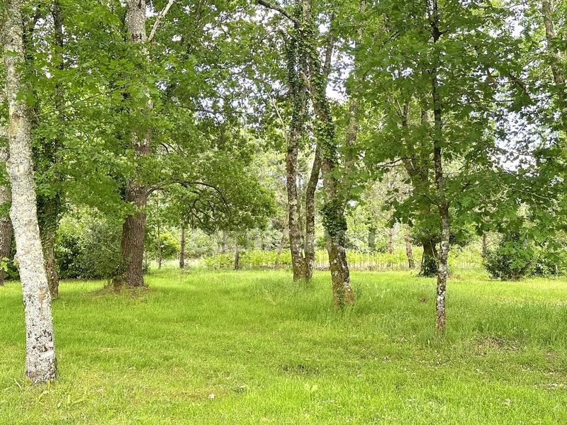 Maison - 180 m² - 5 pièces