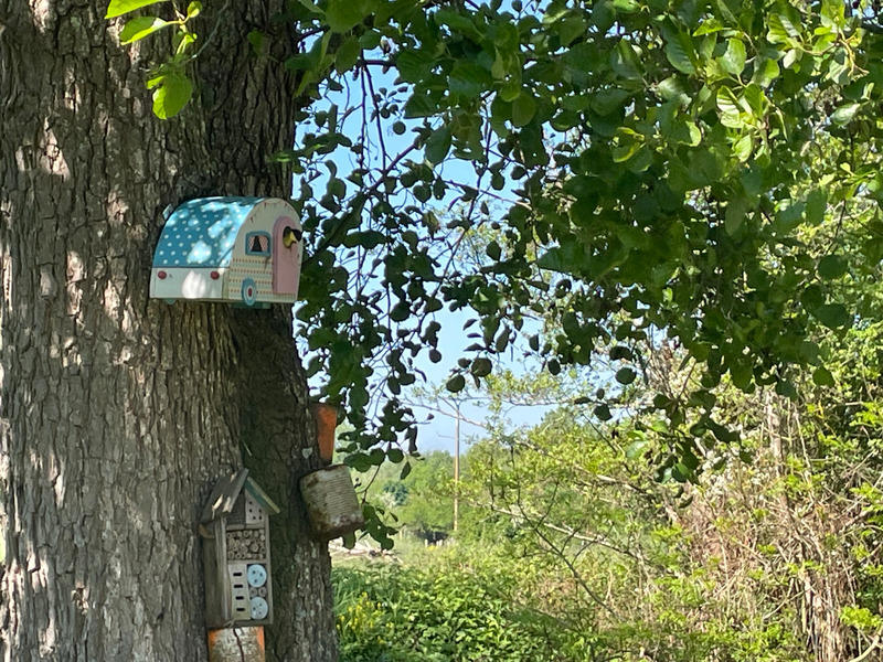 Terrain de loisirs - 1 024 m²