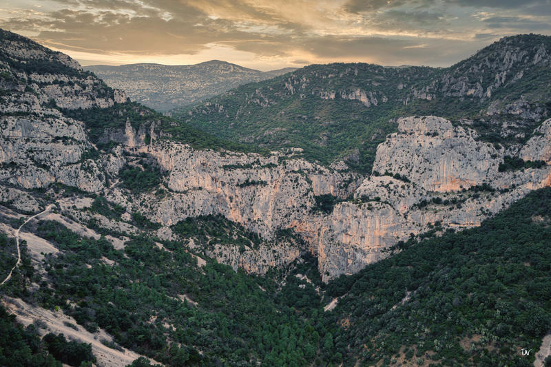 Médiation Exposition