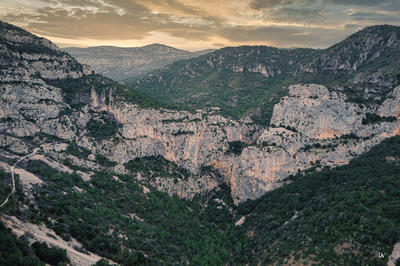 Médiation Exposition