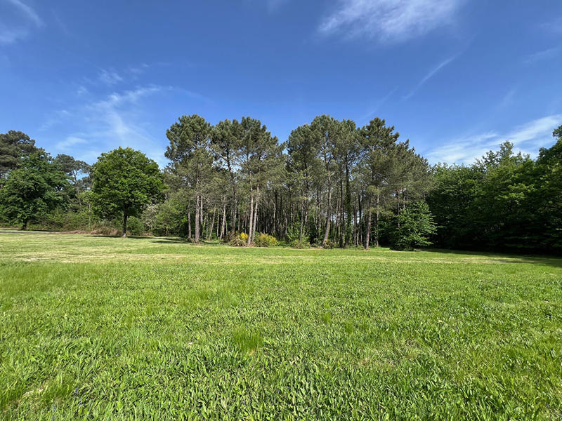 Maison - 185 m² - 3 pièces