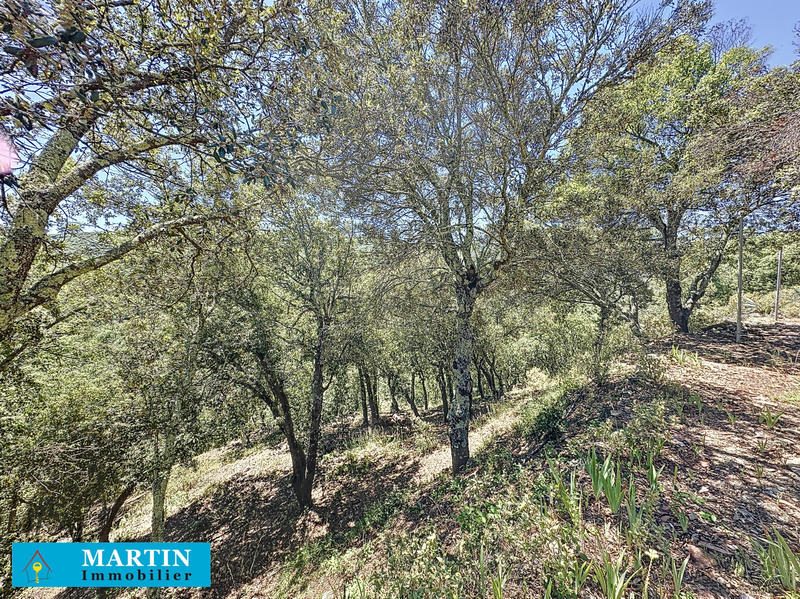 Mas - 104 m² - 4 pièces