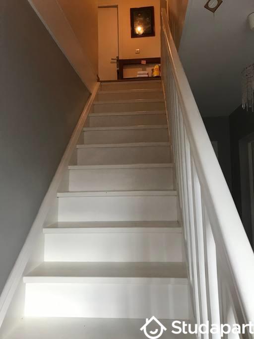 Chambre - 24 m² - 1 pièce