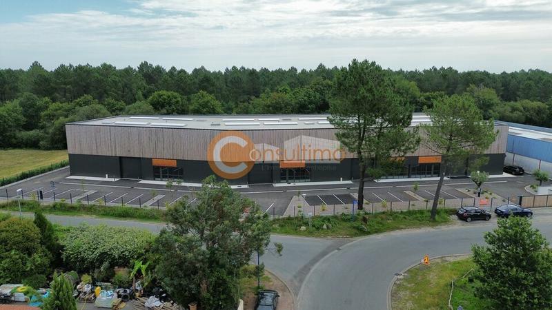 Local d'activité / Entrepôt - 1 662 m²