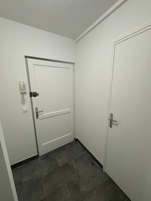 Studio - 19 m² - 1 pièce