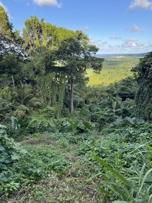 Terrain constructible - 1 523 m²