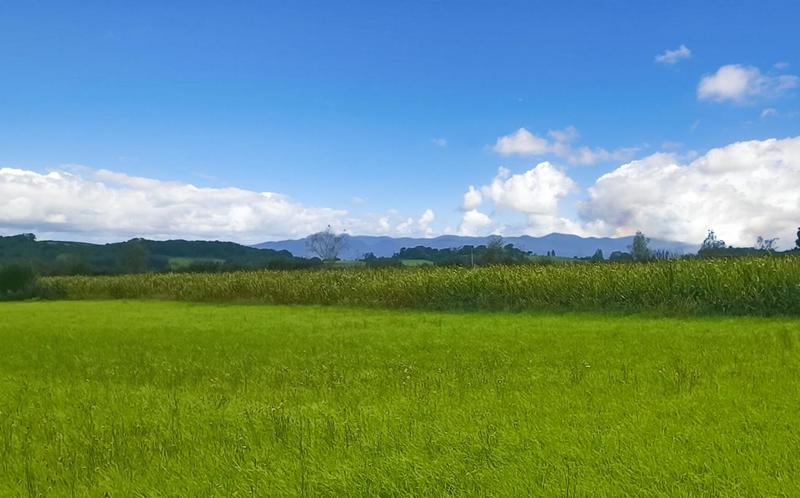 Terrain constructible - 11 000 m²