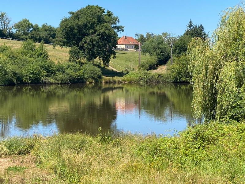 Maison - 219 m² - 10 pièces