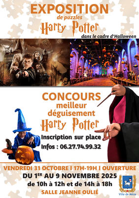 Exposition de Puzzle Harry Potter