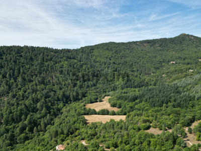 Terrain - 1 512 m²