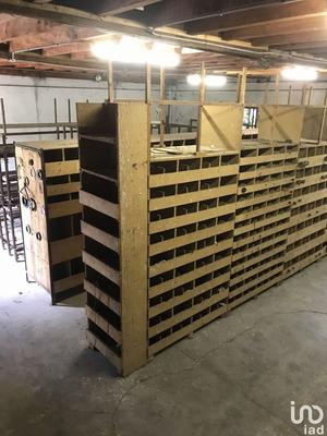 Local commercial - 590 m²