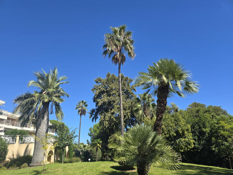 Appartement - 109 m² - 4 pièces