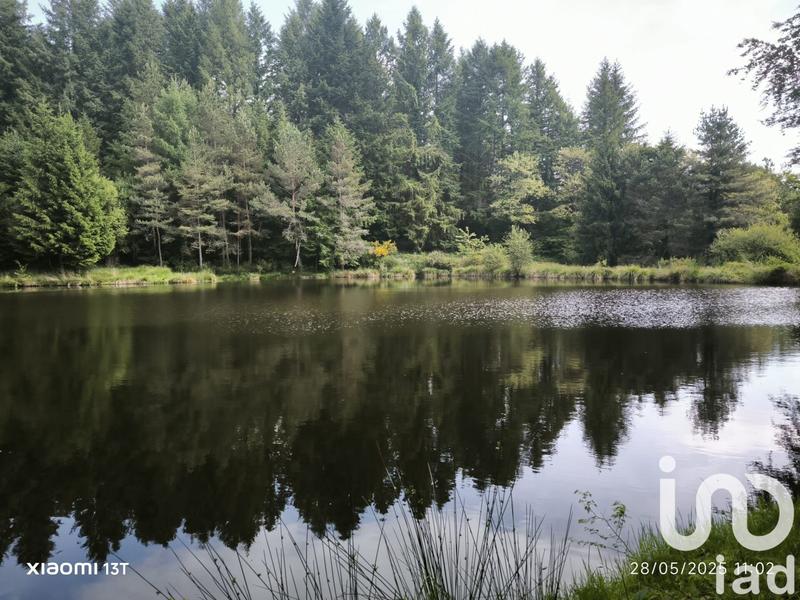 Terrain - 30 452 m²