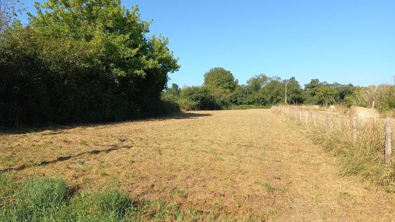Terrain - 1 151 m²
