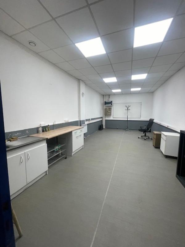 Bureau - 250 m² - 5 pièces