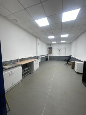 Bureau - 250 m² - 5 pièces