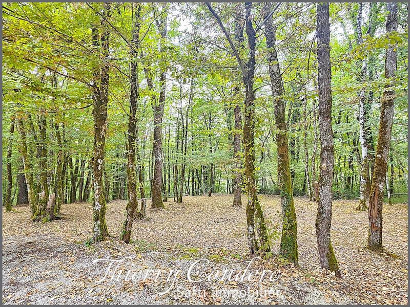 Maison - 81 m² - 4 pièces