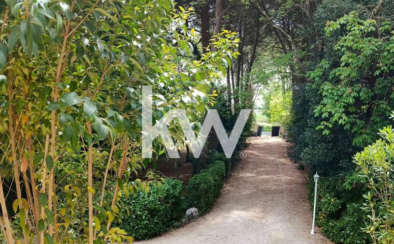 Bureau - 450 m² - 14 pièces