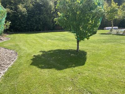 Maison - 252 m² - 9 pièces