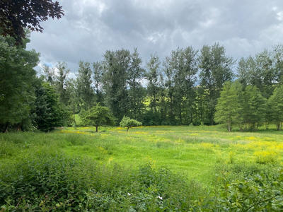 Terrain - 200 000 m²