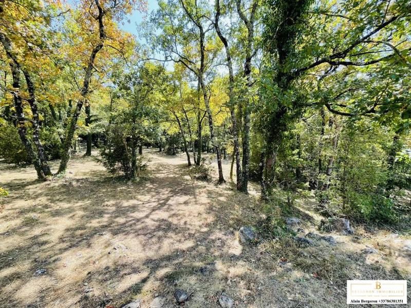 Maison jumelée - 28 m² - 3 pièces