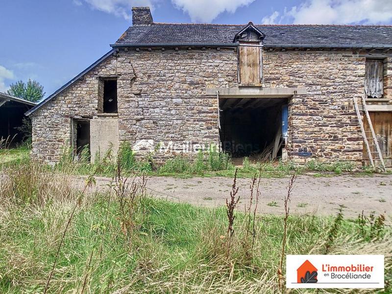 Longère - 250 m² - 5 pièces