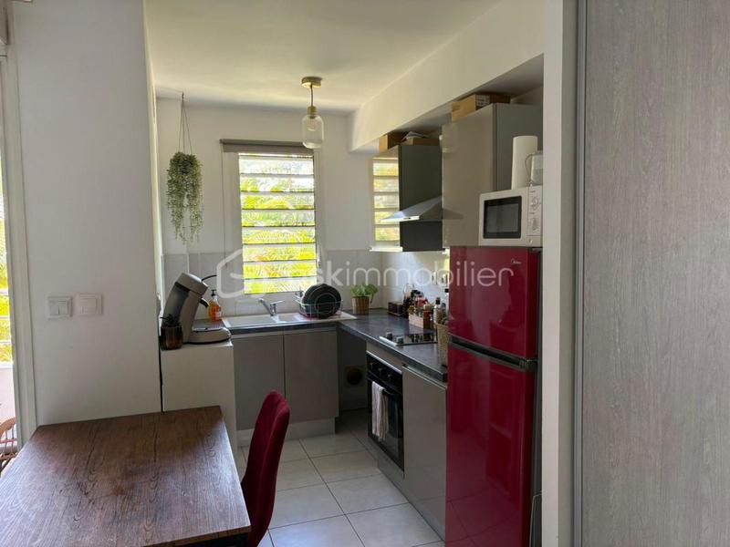 Studio - 30 m² - 1 pièce