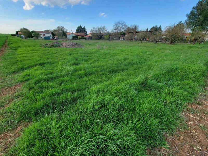 Terrain constructible - 3 039 m²