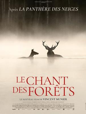 Cinéma Arudy : le Chant des forêts